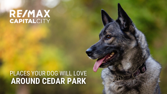 Cedar Park Dog Friendly